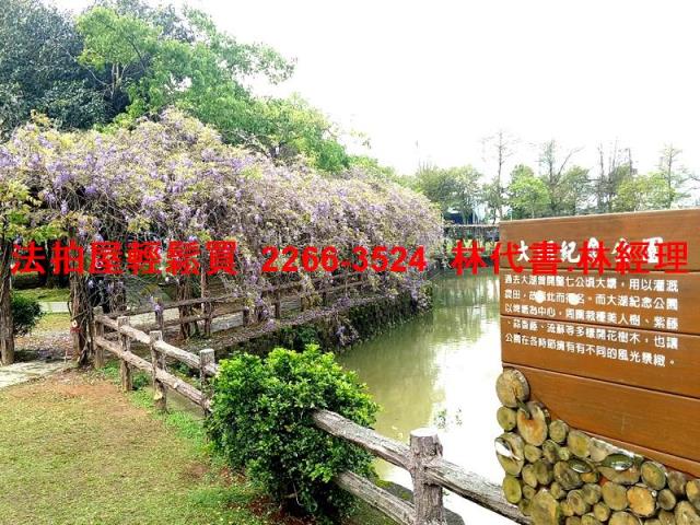 桃園法拍華廈-11