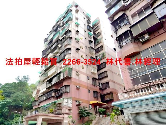 樹林法拍大樓-4